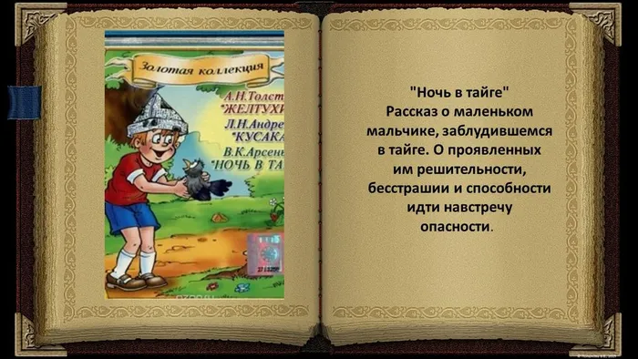 Слайд9