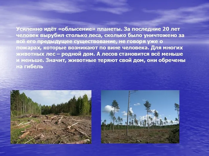 Слайд8