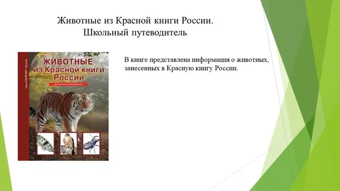 Слайд3