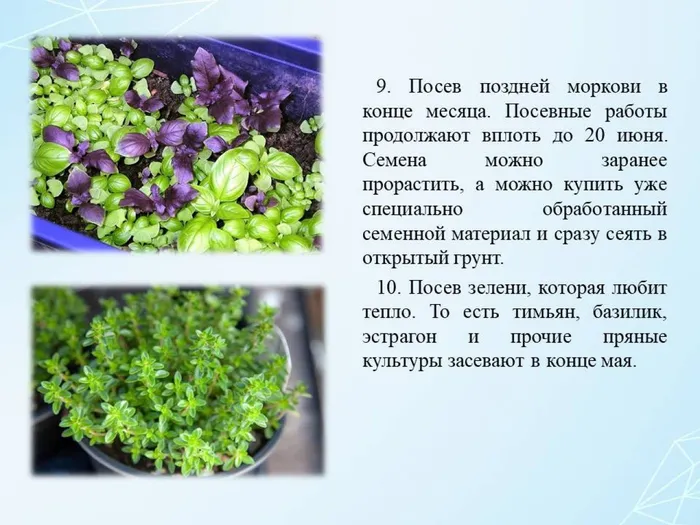 Слайд9