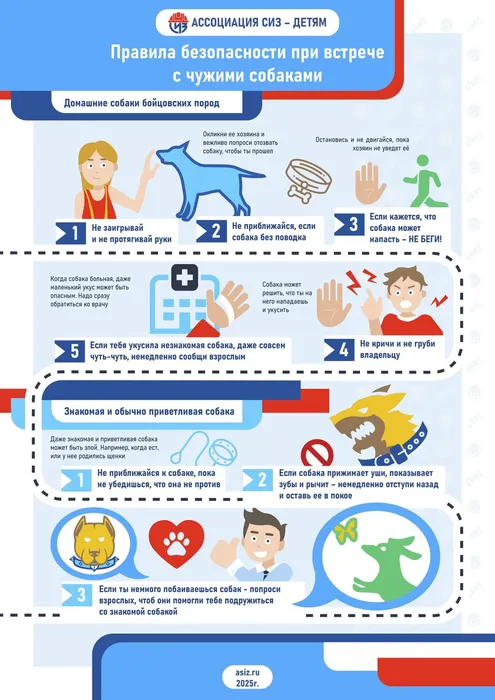 77848715-ac07-444d-bc6b-2f605f871ad2_page-0002