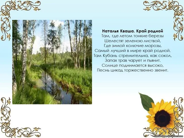 Слайд5