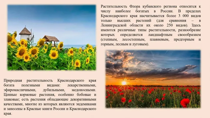 экология и природа родного края_page-0008