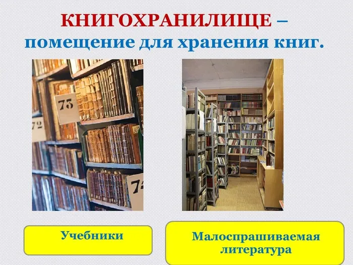 IMG-20230526-WA0005