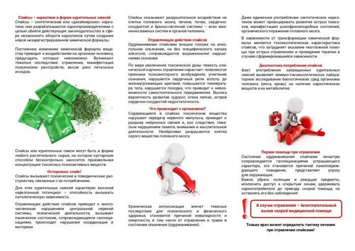 Осторожно! Спайс!_page-0002