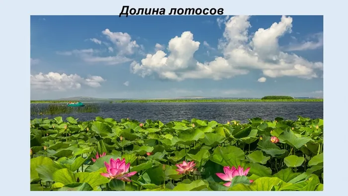 Слайд11