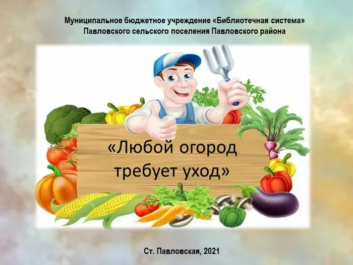 Слайд1