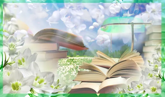 biblioteka001