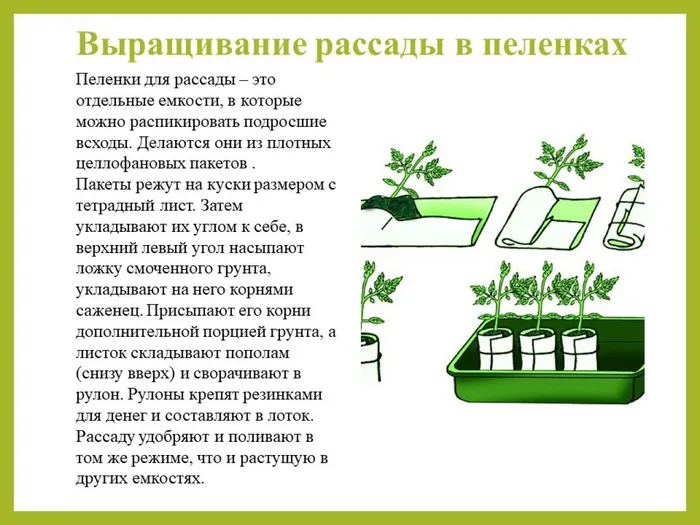 Слайд3