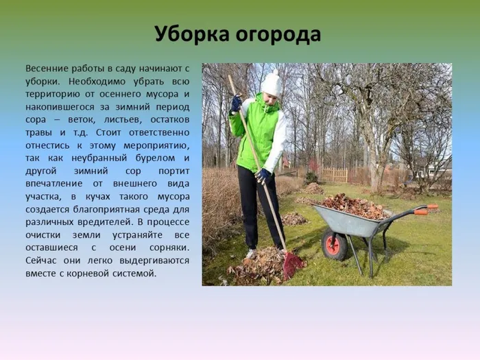 Слайд2