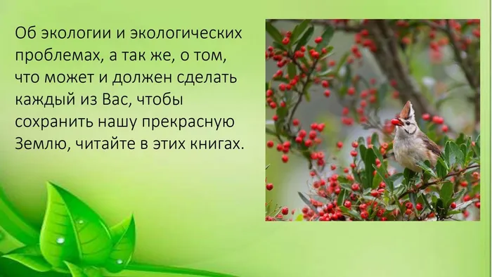 Исчезающее богатство_page-0003