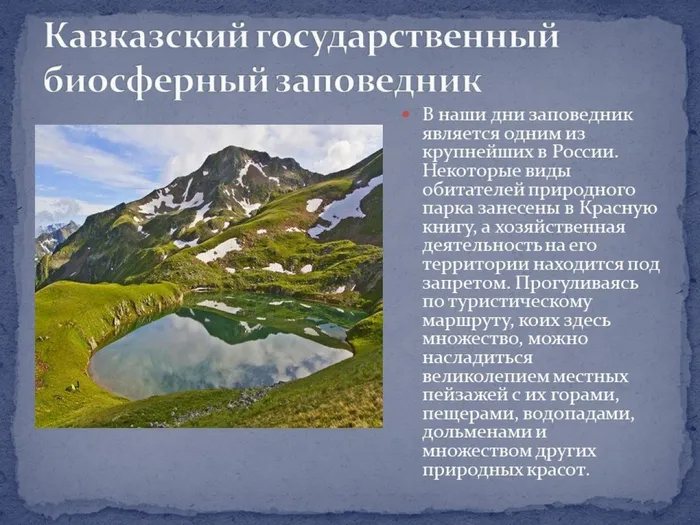 Слайд8