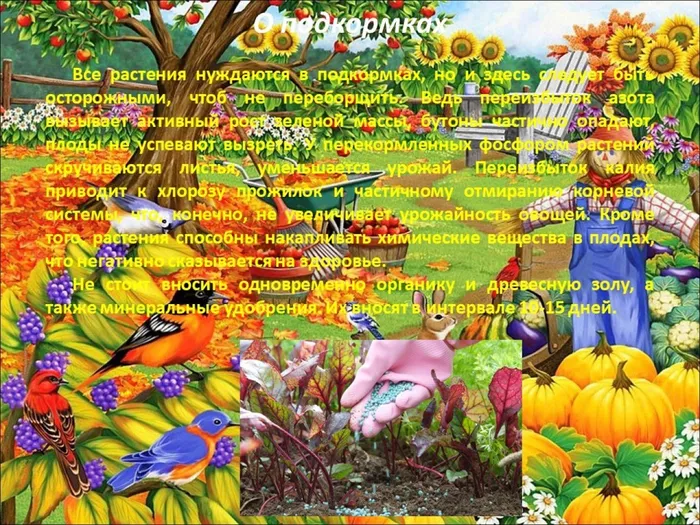 Слайд6