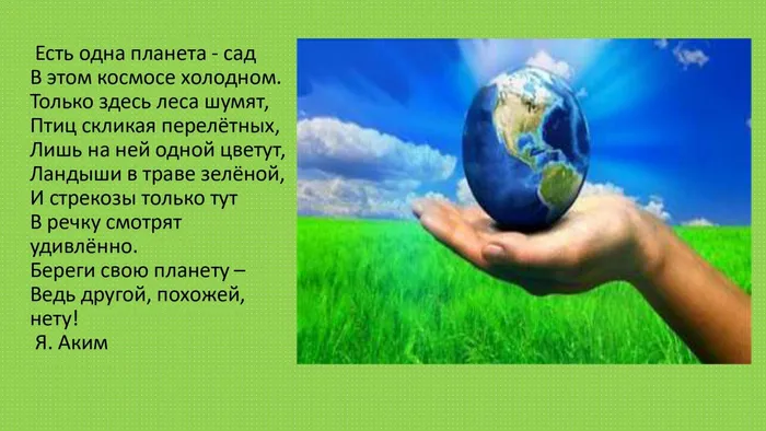 Исчезающее богатство_page-0013