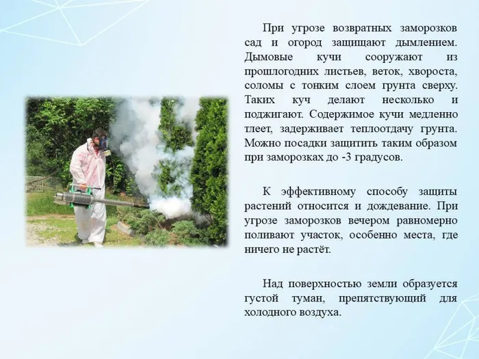 Слайд6