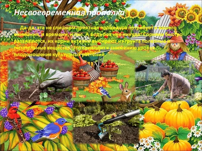 Слайд9
