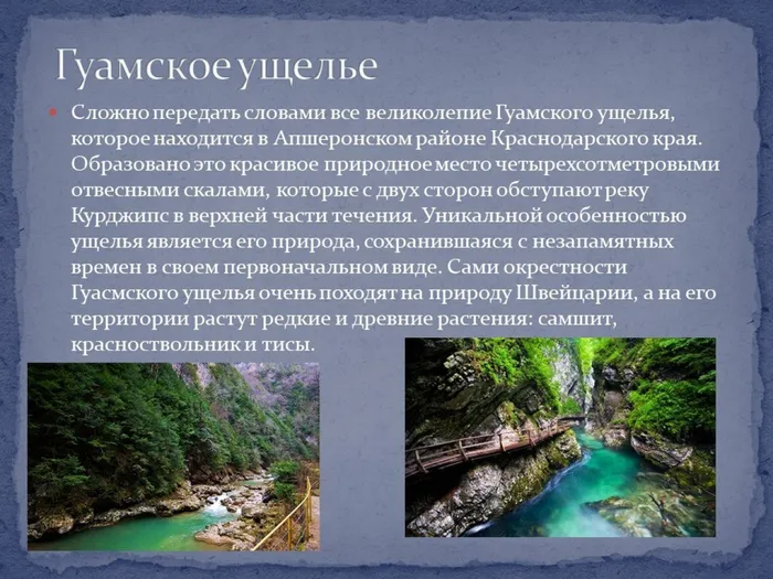 Слайд7