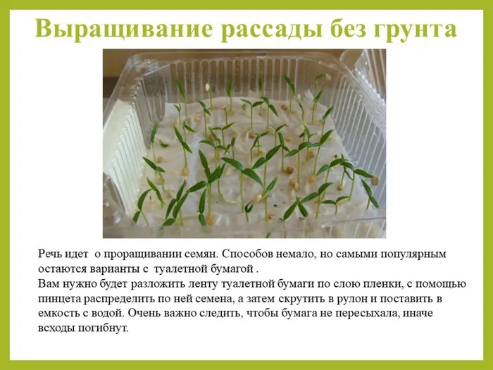 Слайд5