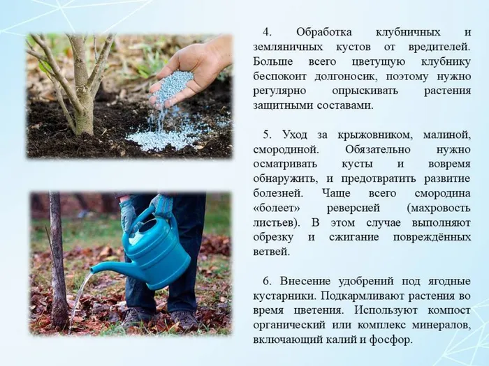 Слайд4