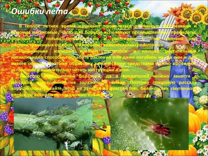 Слайд4