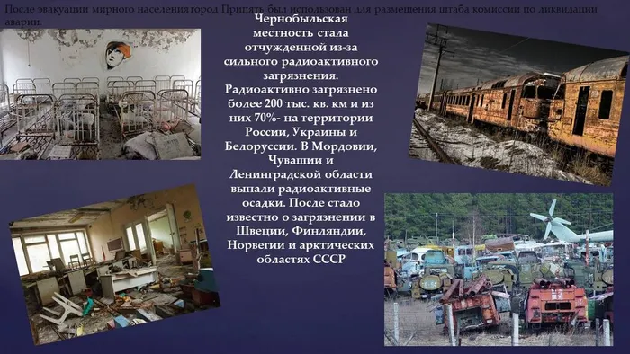 Слайд5