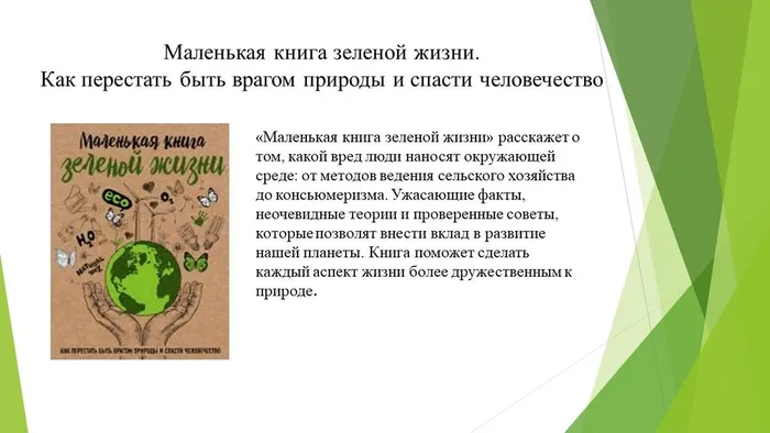 Слайд6