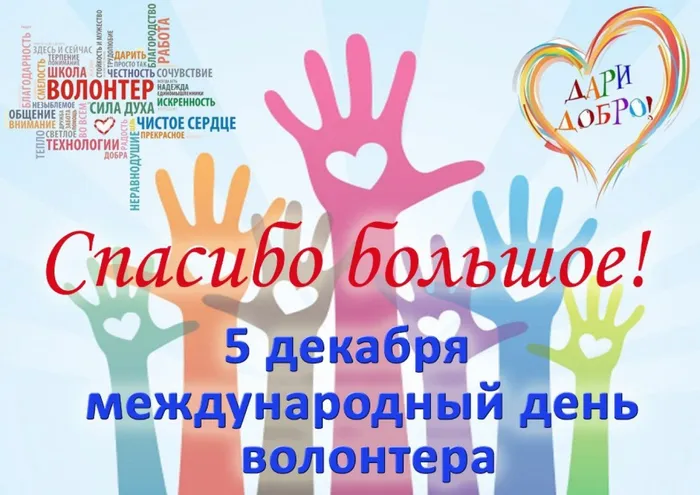 post-452385-1575532552-6294