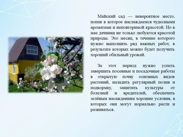 Слайд2