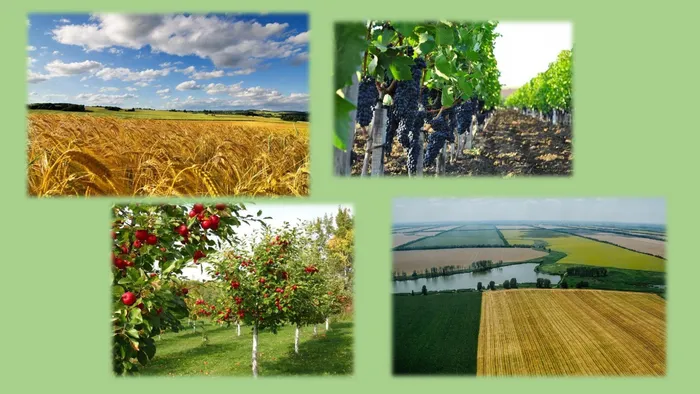 экология и природа родного края_page-0009