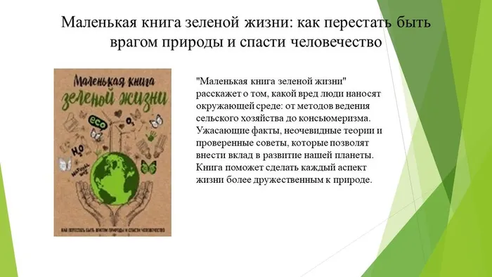 Слайд3