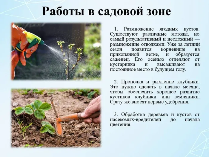Слайд3