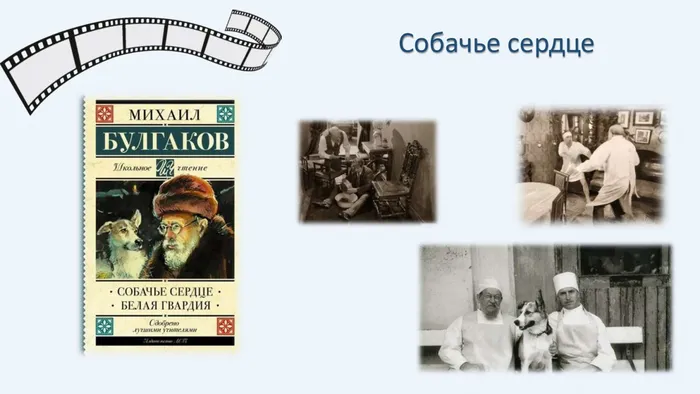 Microsoft PowerPoint Presentation (4)_page-0007