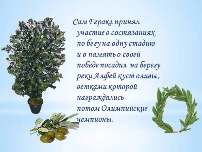 Слайд5