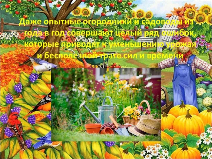 Слайд2