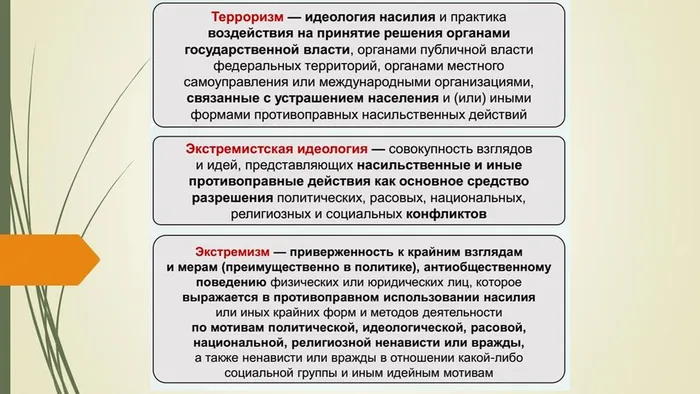 Слайд3