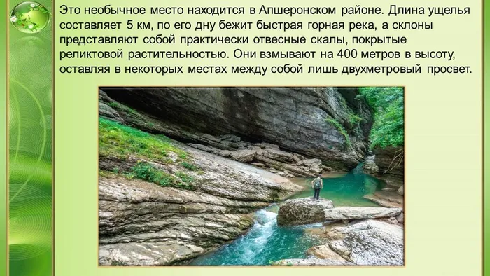 Слайд5