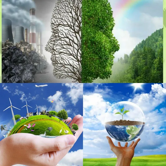 новый коллаж