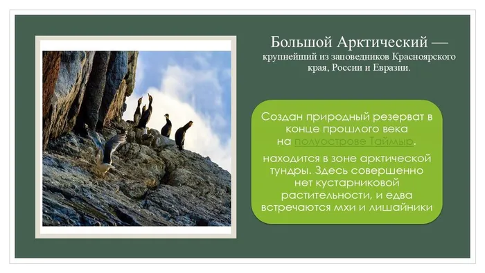 Слайд4
