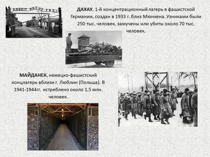 Слайд5