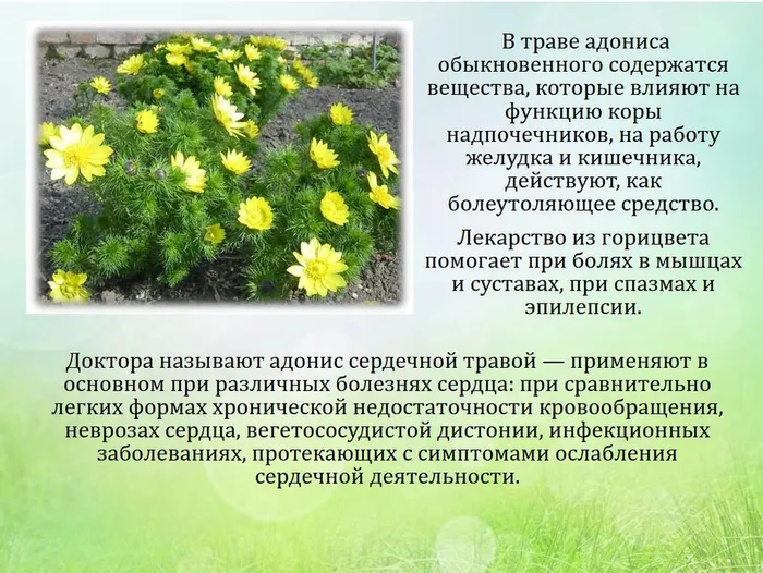 Слайд 5