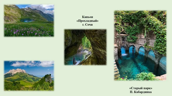 экология и природа родного края_page-0006