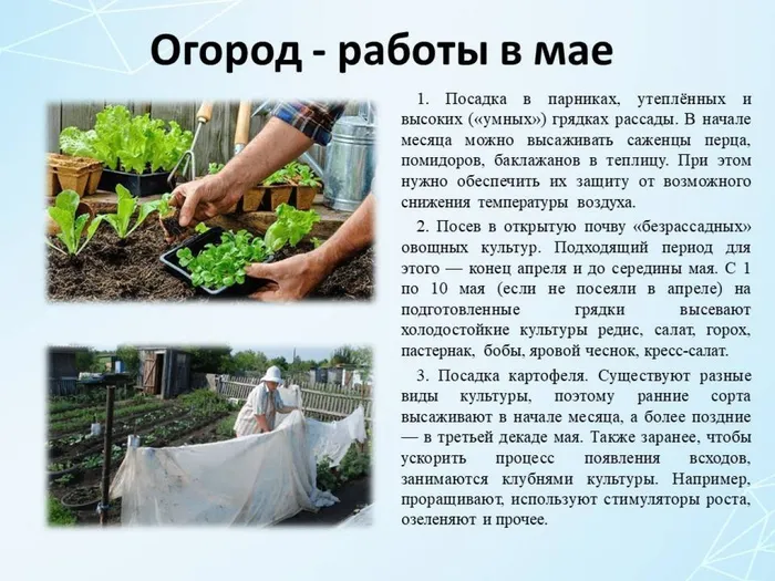 Слайд7