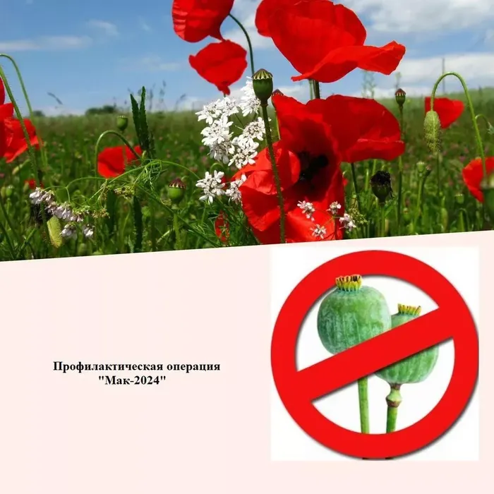 2754f368-6081-464a-9e30-60a7788eefb5