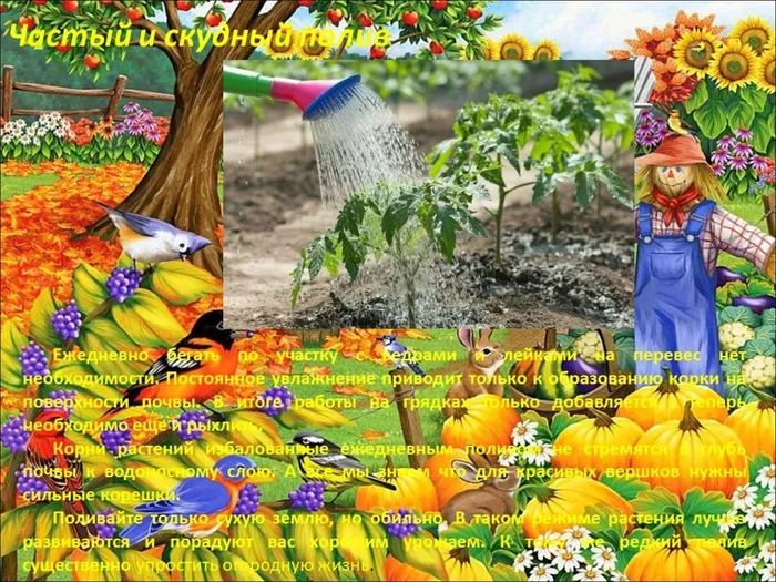 Слайд7